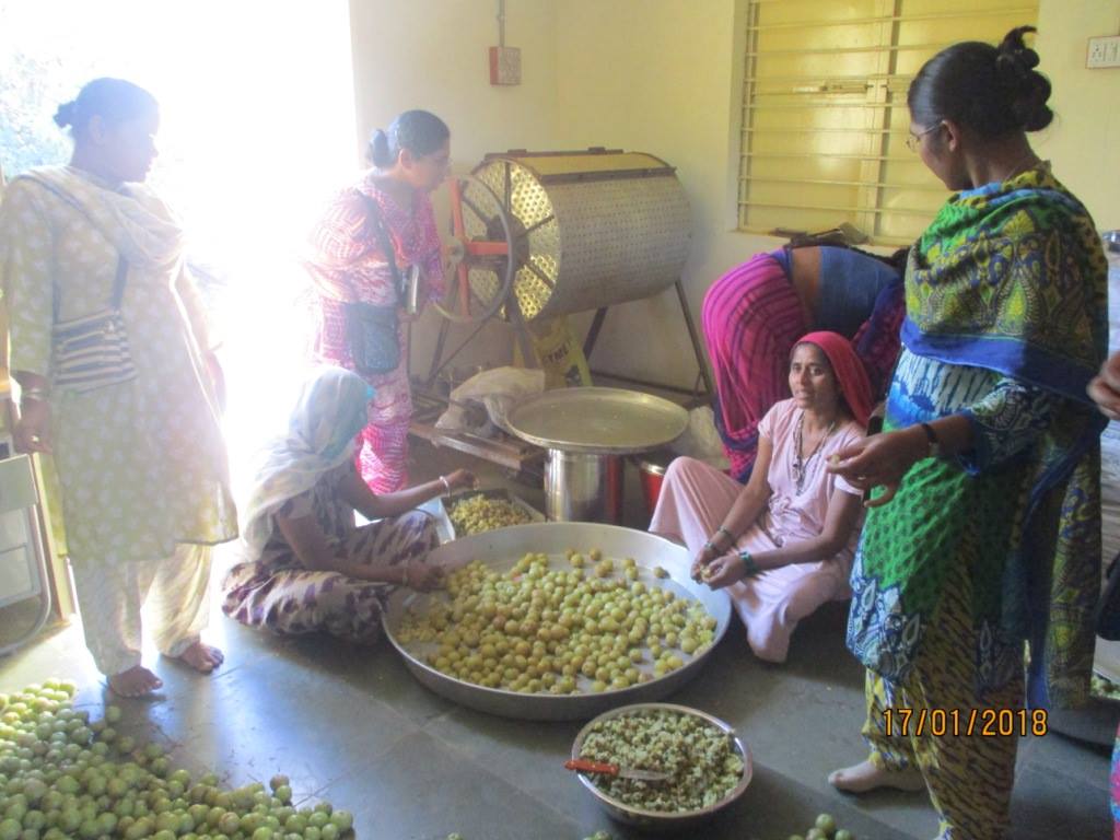 Field-Based Training on SHG Federation Management (Gujarat)