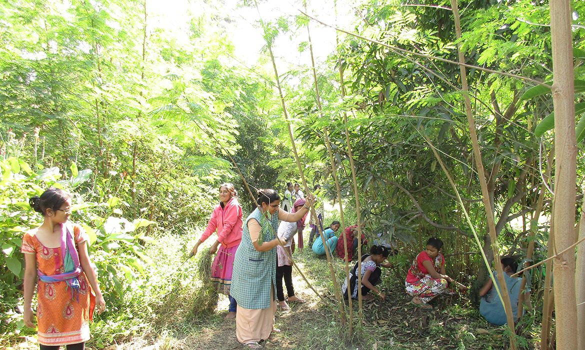 Auxilium Community College Nutrition and Environment Camp