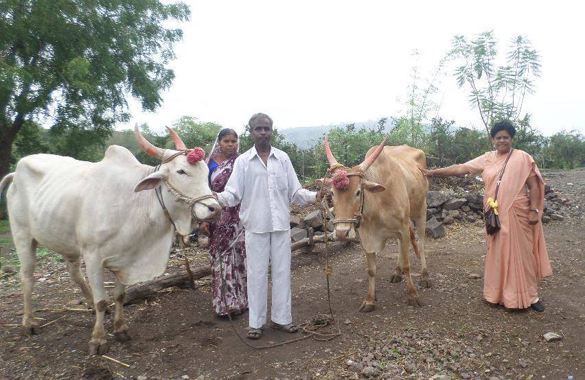 SHG Workshops and Enrollment in Ahmednagar